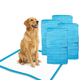 Gardner Pet Petfamily almohadilla absorbente 24x24 protege el suelo durante el entrenamiento