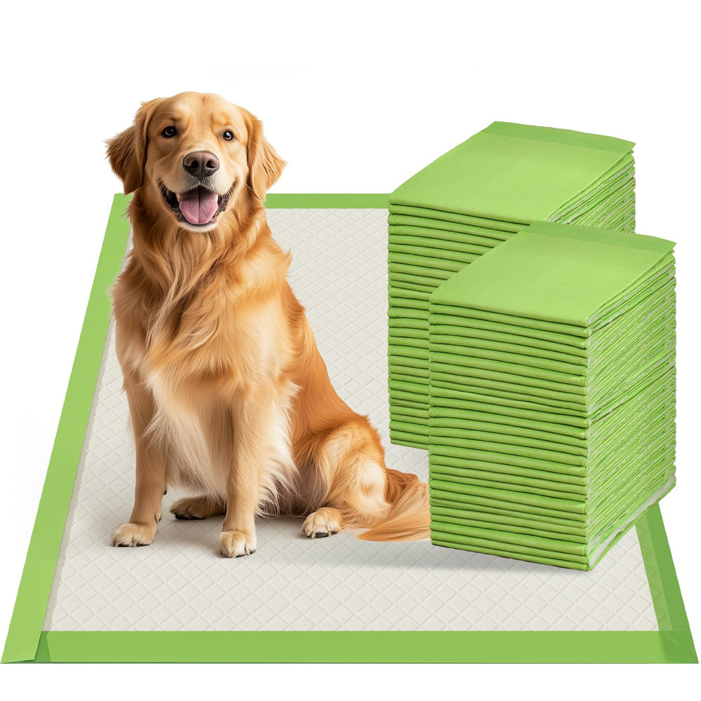 Gardner Pet tapete absorbente de 100 unidades para entrenamiento en casa.