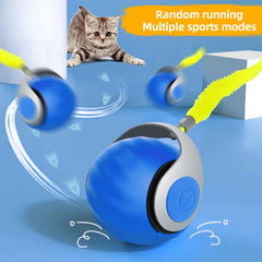 generic bola juguete gato interactivo rodando sobre alfombra, invita a ejercicio activo