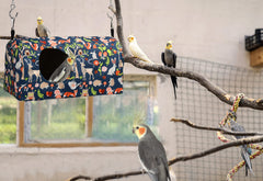 Nido Generic para aves tamaño grande, ideal para loros medianos y similares