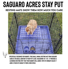 Saguaro Acres, apto para lavavajillas para limpieza rápida.