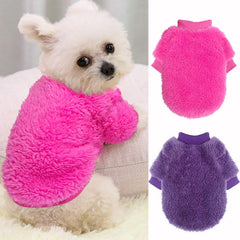 Sudadera diminuta de Generic, dos piezas, ideal para días fríos