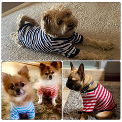 Camisetas rayadas Geyoga para perro, colores vivos que destacan
