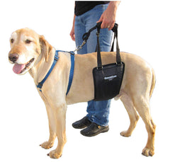 GingerLead arnés de soporte trasero para perros, ayuda a la movilidad.
