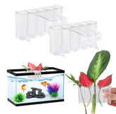 GLEFLE portaplantas para acuario colgante superior, soporte estable para plantas acuáticas.
