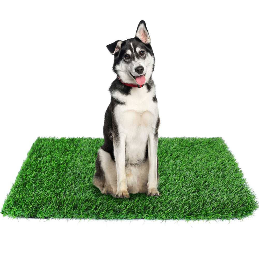 Globreen césped artificial para perros, uso interior y exterior, cómodo y duradero.