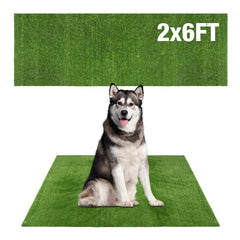Globreen pasto para perro grande 2 pies por 6 pies, tapete para entrenamiento diario al aire libre