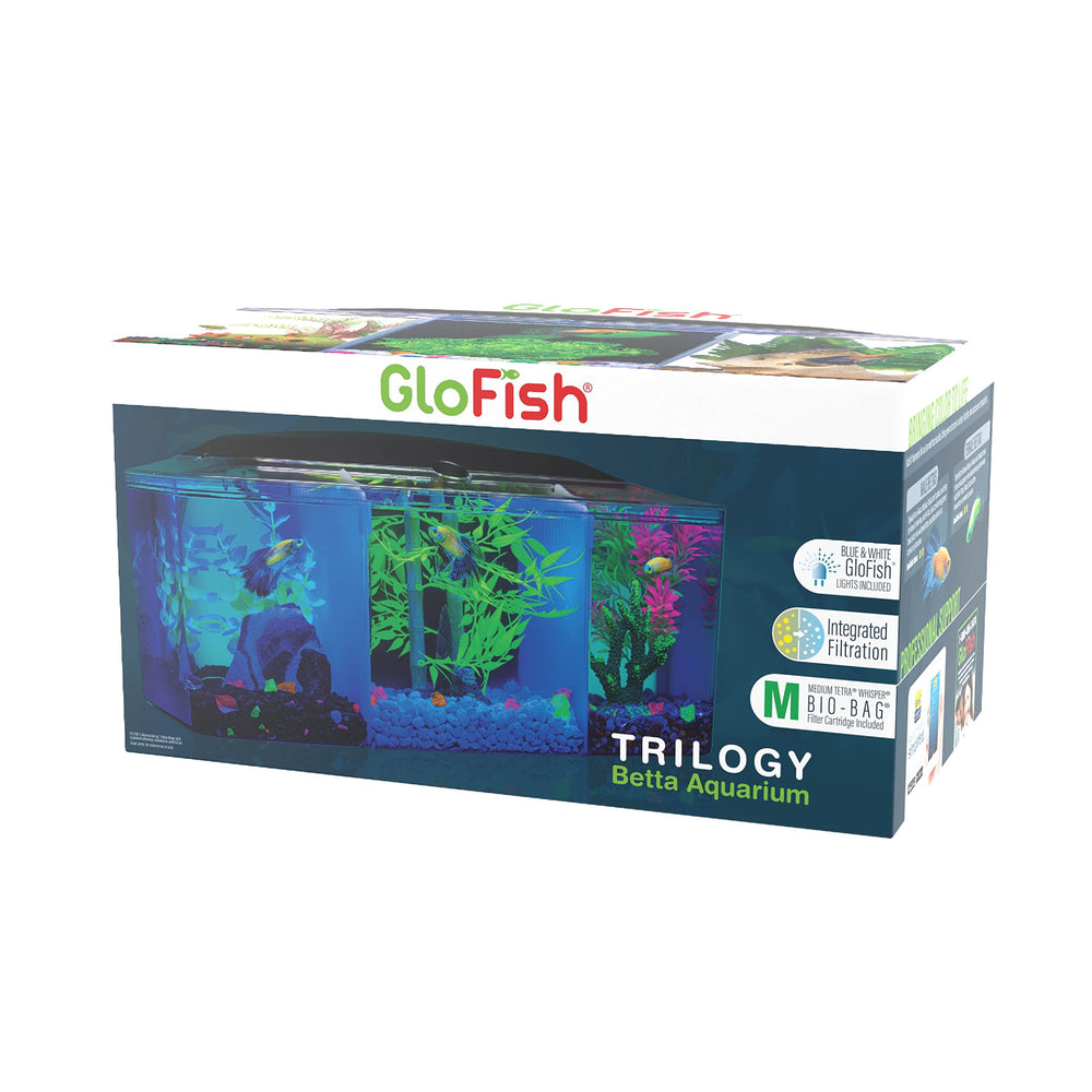 GloFish Betta Trilogy en acuario de tres galones con tres compartimentos.