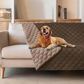 Gogobunny funda para cama de perro, doble cara, protege muebles y es impermeable.