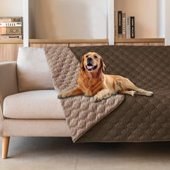 Gogobunny funda para cama de perro, doble cara, protege muebles y es impermeable.
