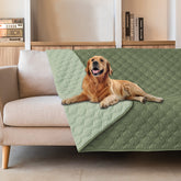 Funda gogobunny para cama de perro, impermeable y reversible, ideal para proteger muebles.