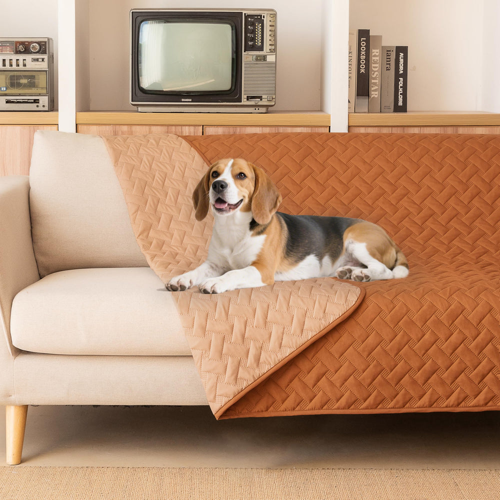 Manta gogobunny impermeable de doble cara protege muebles y suelos