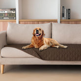 Gogobunny manta impermeable protege muebles contra derrames y manchas.