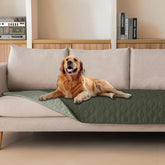 Manta gogobunny doble cara impermeable para perros protege el sofá con estilo.