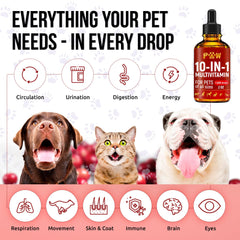 Golden Paw mezcla-en-comida: suplemento práctico para perros y gatos.