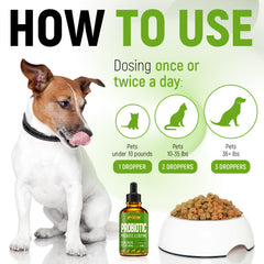 Golden Paw Probioticos pelo sano y brillo con uso regular.
