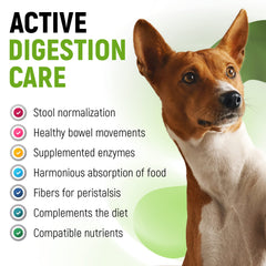 Golden Paw Probioticos sabor herbal, formato agradable para mascotas.