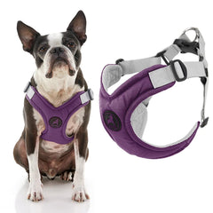 Arnés Gooby para perro pequeño con espuma de memoria, confort adaptable.
