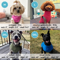 Gooby vest diez tallas para ajustar a razas pequeñas y grandes