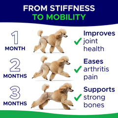 GOODGROWLIES MSM para perros: nutrición articular avanzada.