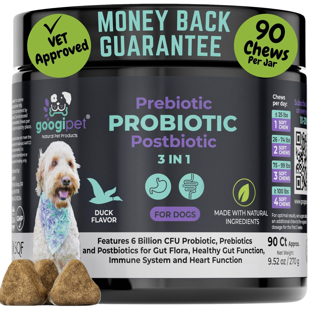 GOOGIPET NATURAL PET PRODUCTS: googipet-probiotics-perros-frasco-cerca, apoyo digestivo potencial.