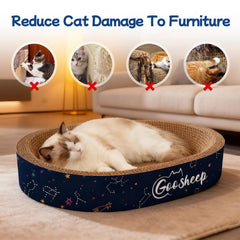 Goosheep diseño para varios gatos facilita convivencia y juego.