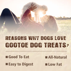 Gootoe Jerky de Pollo sin Gluten: snack natural para perros sensibles.
