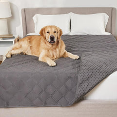 Manta impermeable Gorilla Grip para perros en sofá, protección duradera y limpieza sencilla.