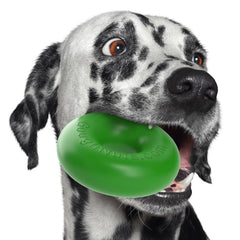 Goughnuts Juguete para perro mordida dura, resistente para masticadores activos.