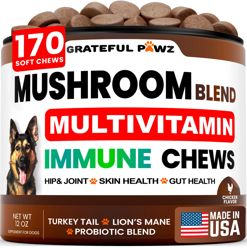 Grateful Pawz frasco abierto con masticables de cola de pavo para perros