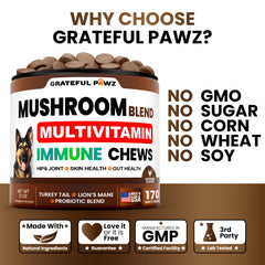 Grateful Pawz infografía 30-en-1 sobre setas beneficiosas para perros