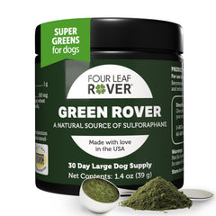 Green Rover de Four Leaf Rover, polvo de brócoli orgánico para perros activos, aporta antioxidantes.