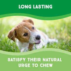 GreenCow Rawhide Chips contribuye a la higiene dental del perro durante el masticar.