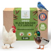 Greenest Treats larvas mosca soldado para pollos, snack proteico para aves.