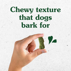 Greenies textura masticable en escena detallada para una experiencia suave.