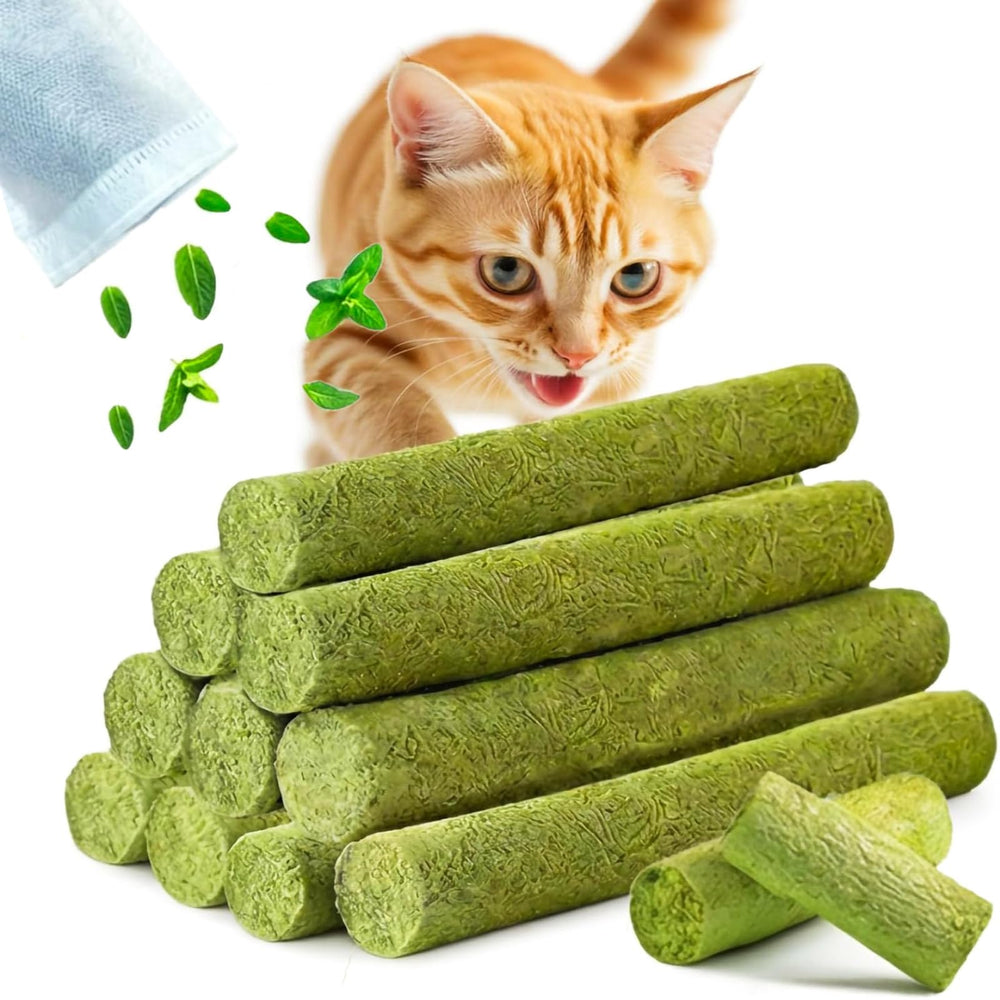 GREMBEB barrita de hierba para gatos, mejora la dentición y ayuda con bolas de pelo.