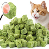 GREMBEB palito de hierba para gatos, masticable y ideal para premiar durante el juego