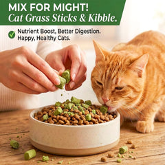 GREMBEB snack de hierba congelada para gatos, snack natural sin sabores artificiales.