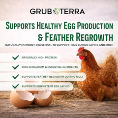 GrubTerra proteína alta y calcio para gallinas, apoyo nutricional.