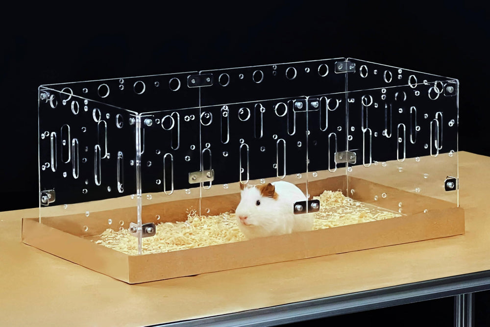 GuineaLoft Model-C2: caja acrílica frontal para observación clara del conejillo de indias