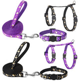 Guiqulai collar para gato: collar doble, cómodo y seguro para uso diario