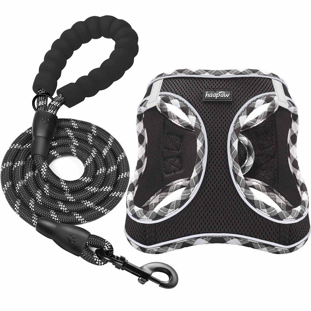 Harnais Haapaw et laisse ensemble pour balades simples et confortables.