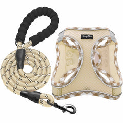 Harnais haapaw et laisse sans tirage en promenade – confort durable.