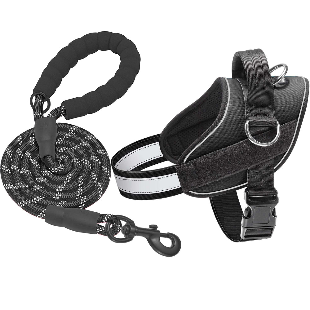 Arnés Haapaw resistente de nylon para perros grandes, paseos duraderos.
