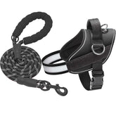 Arnés Haapaw resistente de nylon para perros grandes, paseos duraderos.