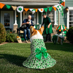 Habbiful vestido tutu de encaje para perro, cómodo y ligero.