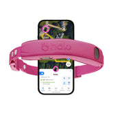 Halo Collar 5 colocado en el cuello del perro para un ajuste cómodo y seguro.
