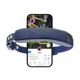 Halo Collar 5 con GPS en tiempo real para rastreo preciso al aire libre