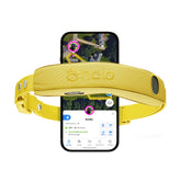 Halo Collar 5: ubicación GPS precisa para exteriores