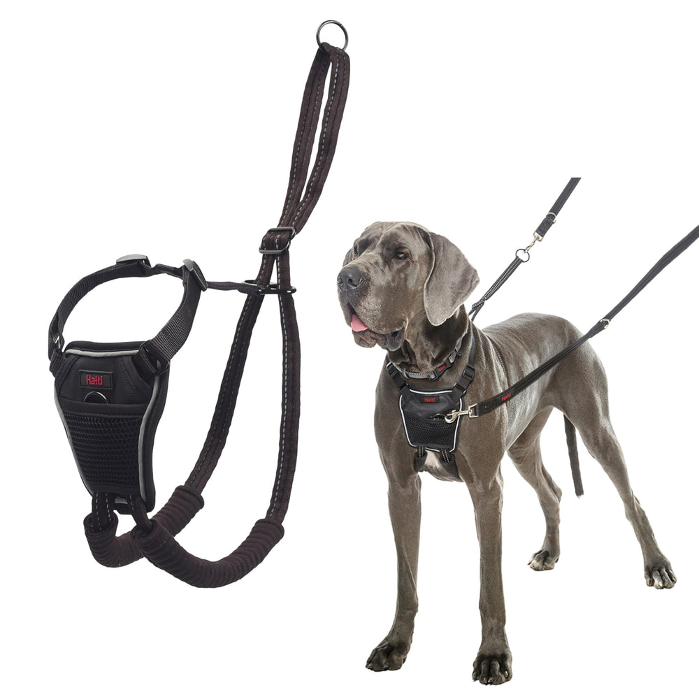 Halti No Pull Harness frente-control: mejora el control al caminar